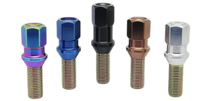 Stainless steel Appearance forged bolt